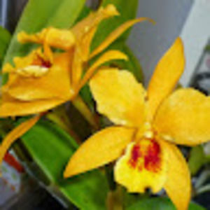 Meet your Posher, Terri